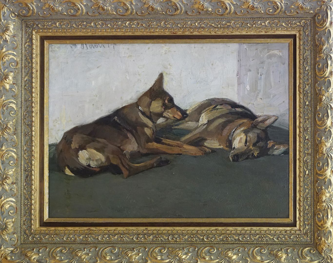 Two lying German shepherds 