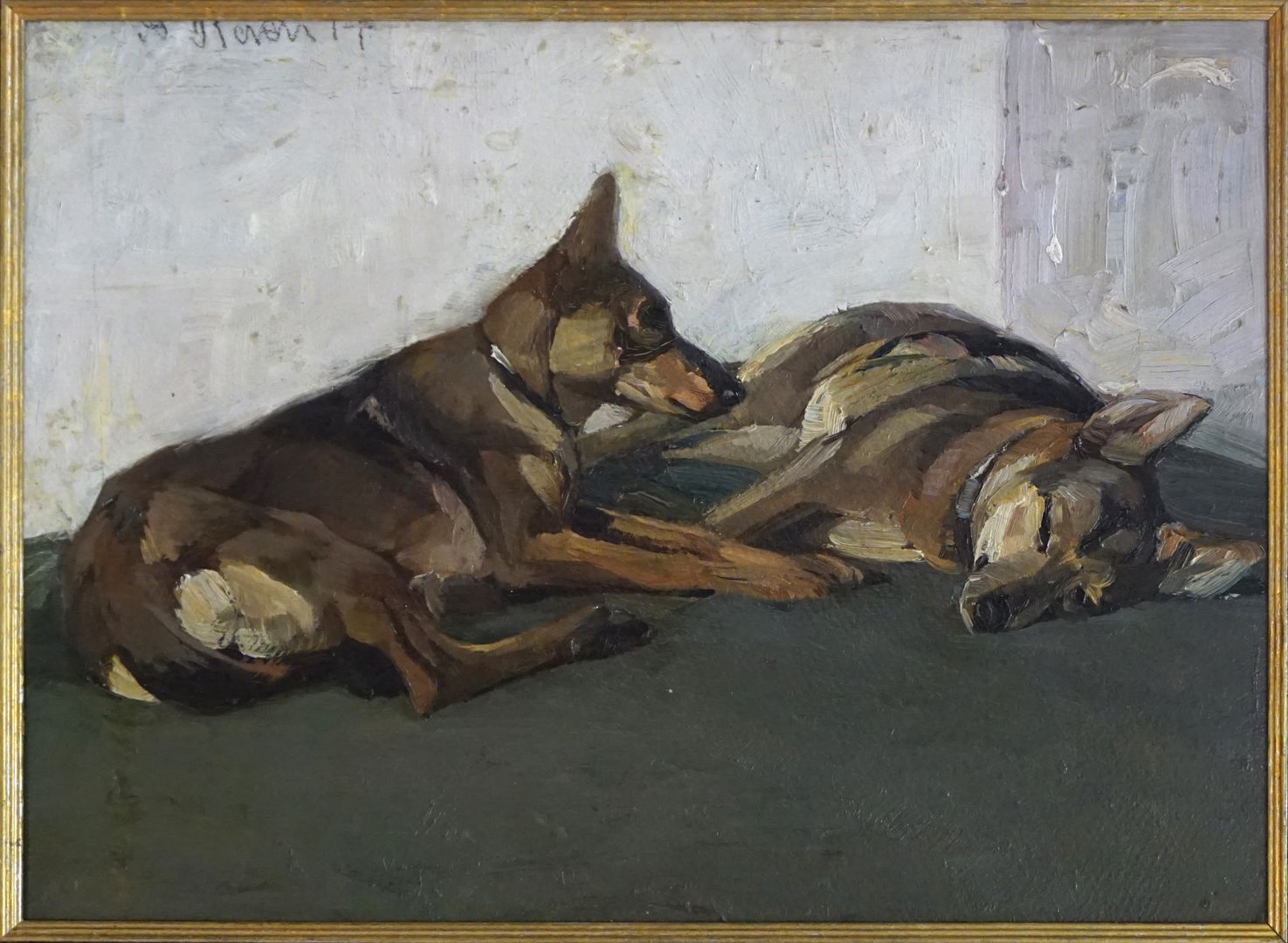 Two lying German shepherds 