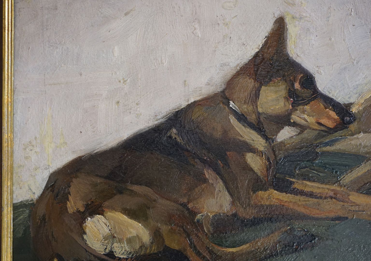 Two lying German shepherds Detailed view