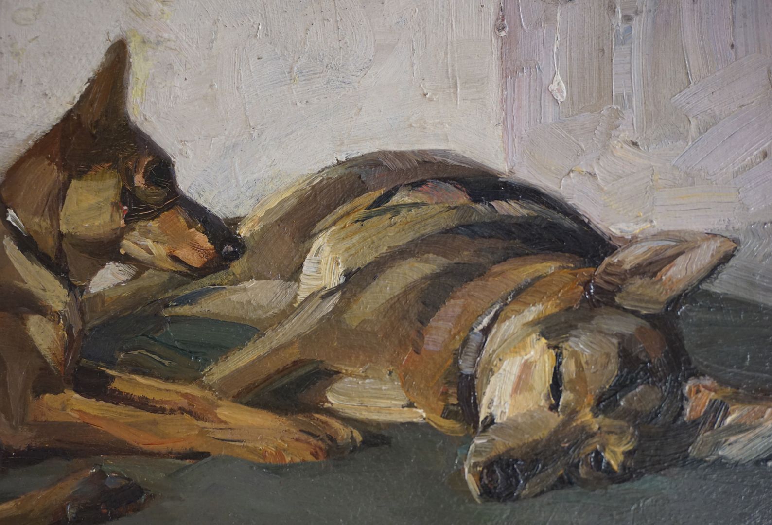 Two lying German shepherds Detailed view