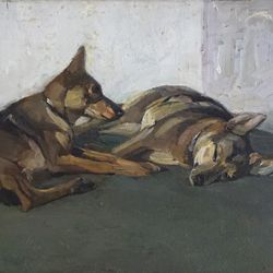 Two lying German shepherds