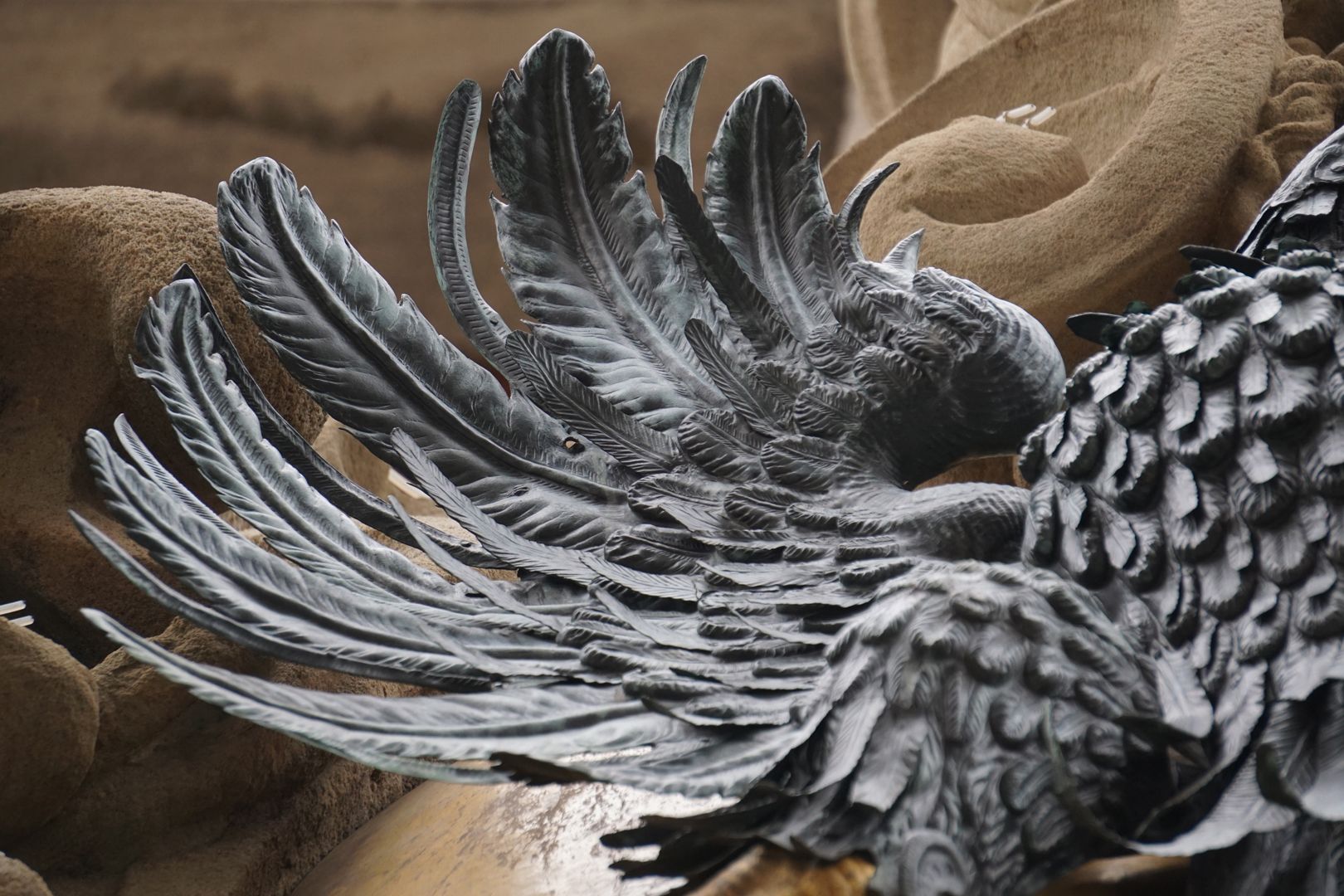 Imperial Eagle Eagle's right wing, detailed view