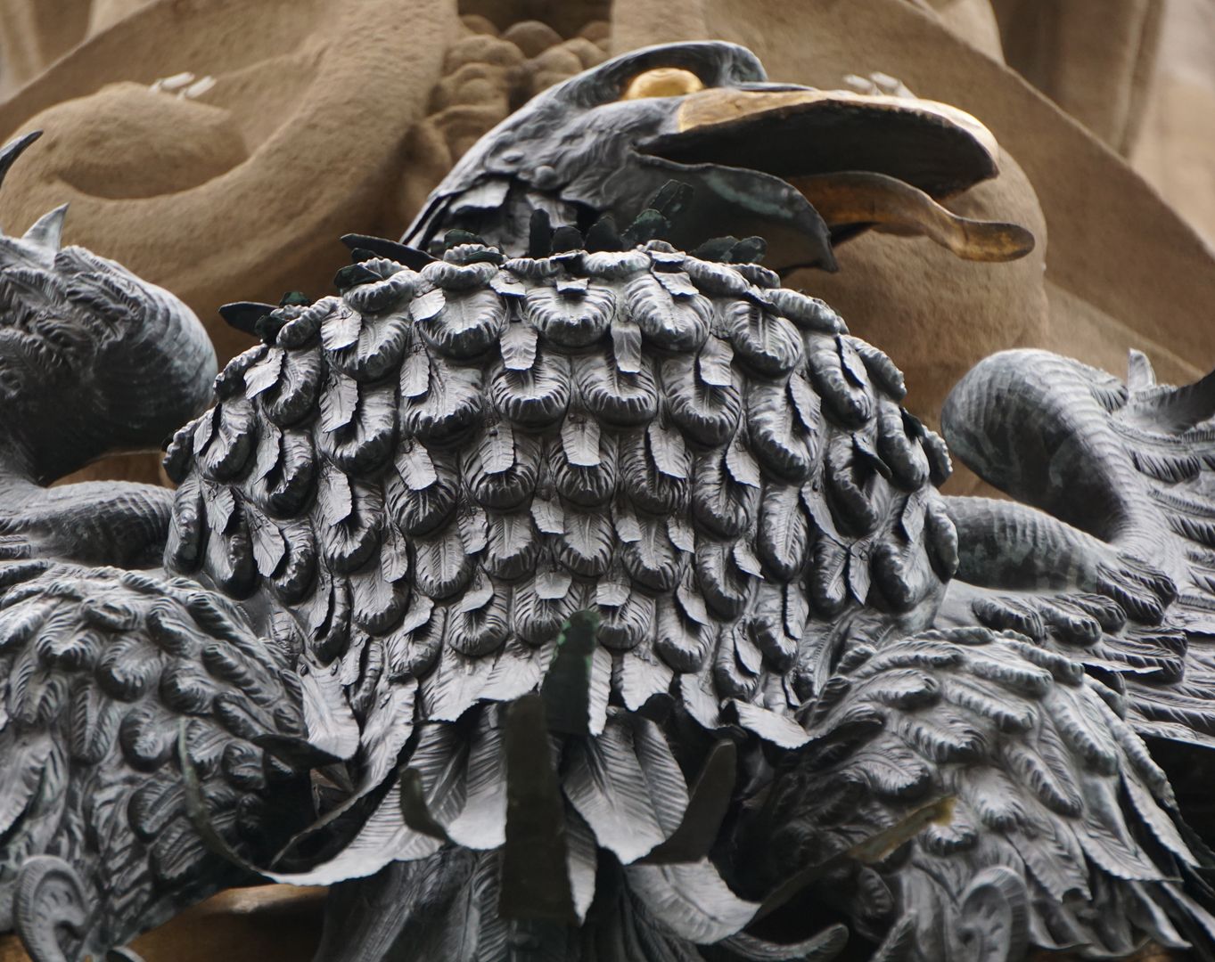 Imperial Eagle Eagle's breast plumage