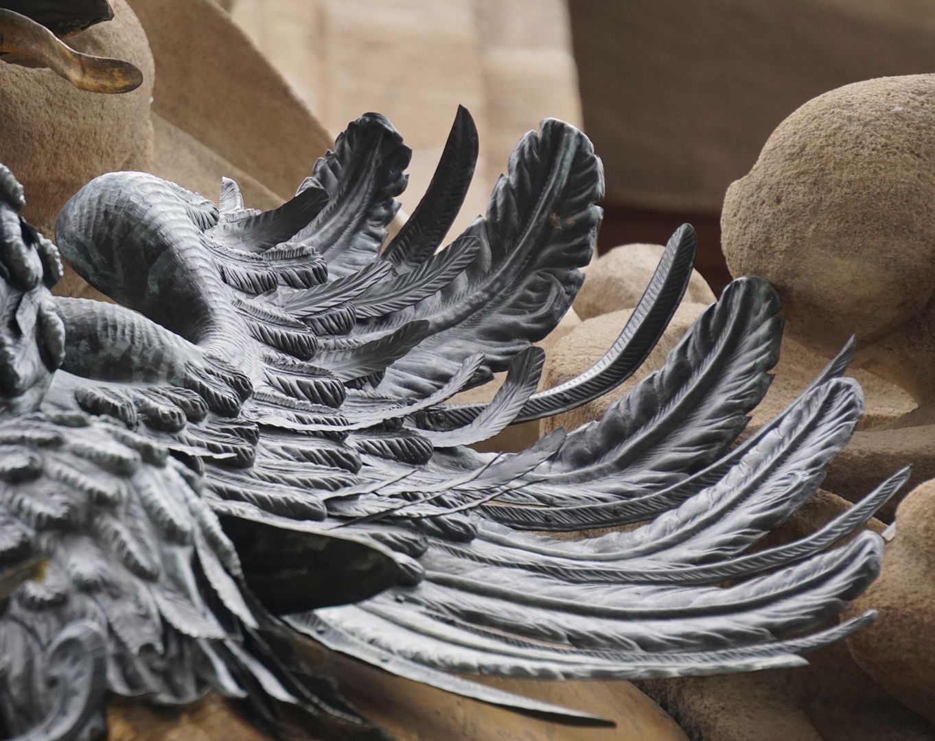 Imperial Eagle Left wing of the eagle, detailed view