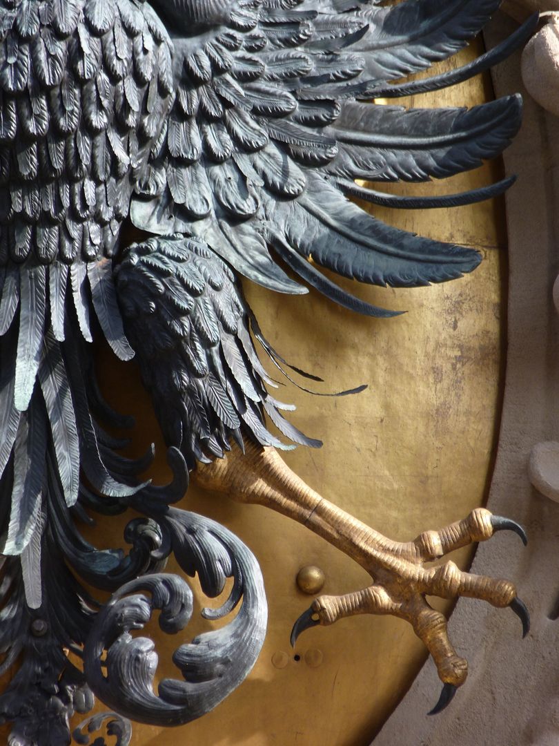 Imperial Eagle left wing and leg of the eagle