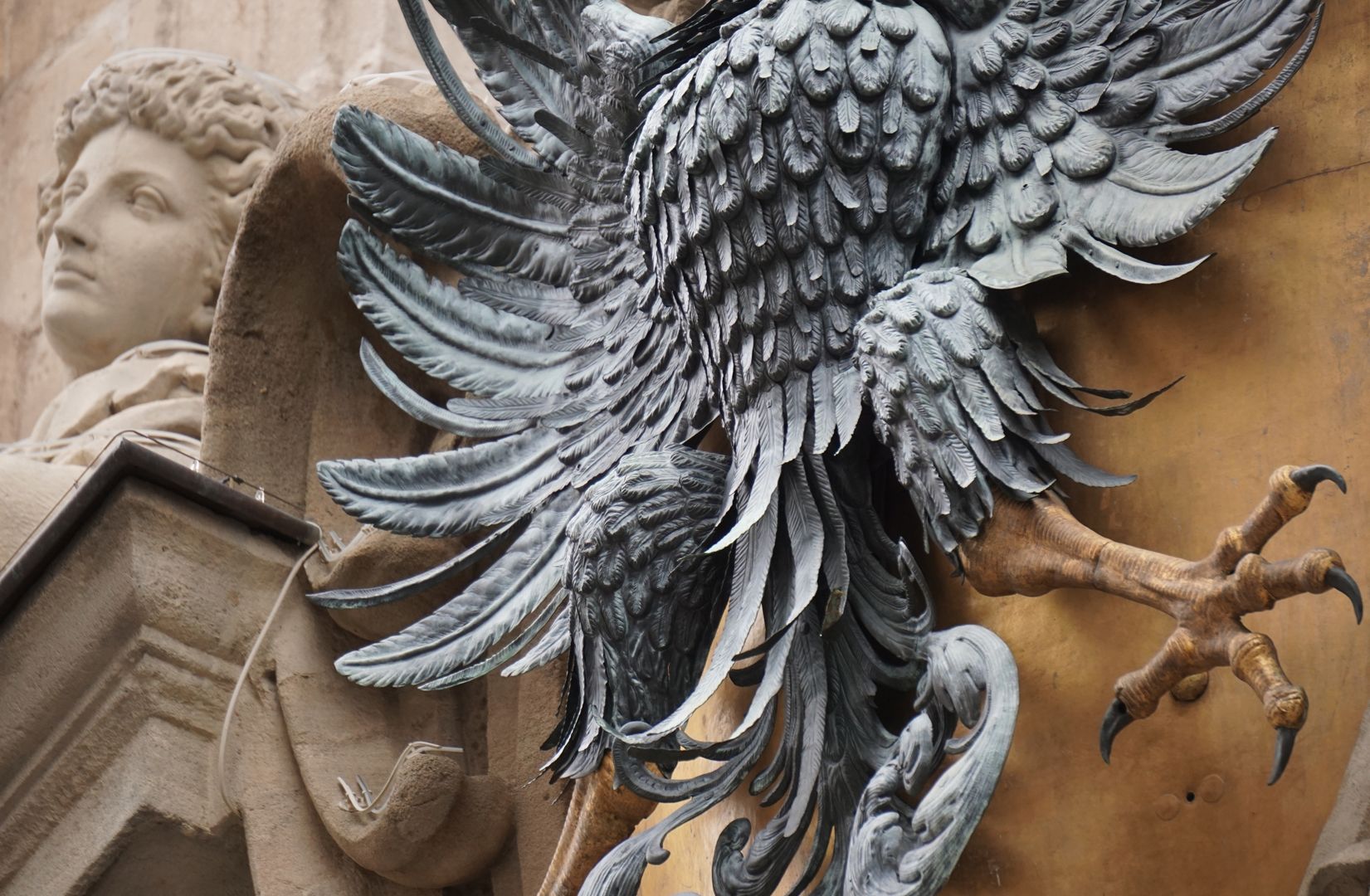 Imperial Eagle Plumage, detailed view