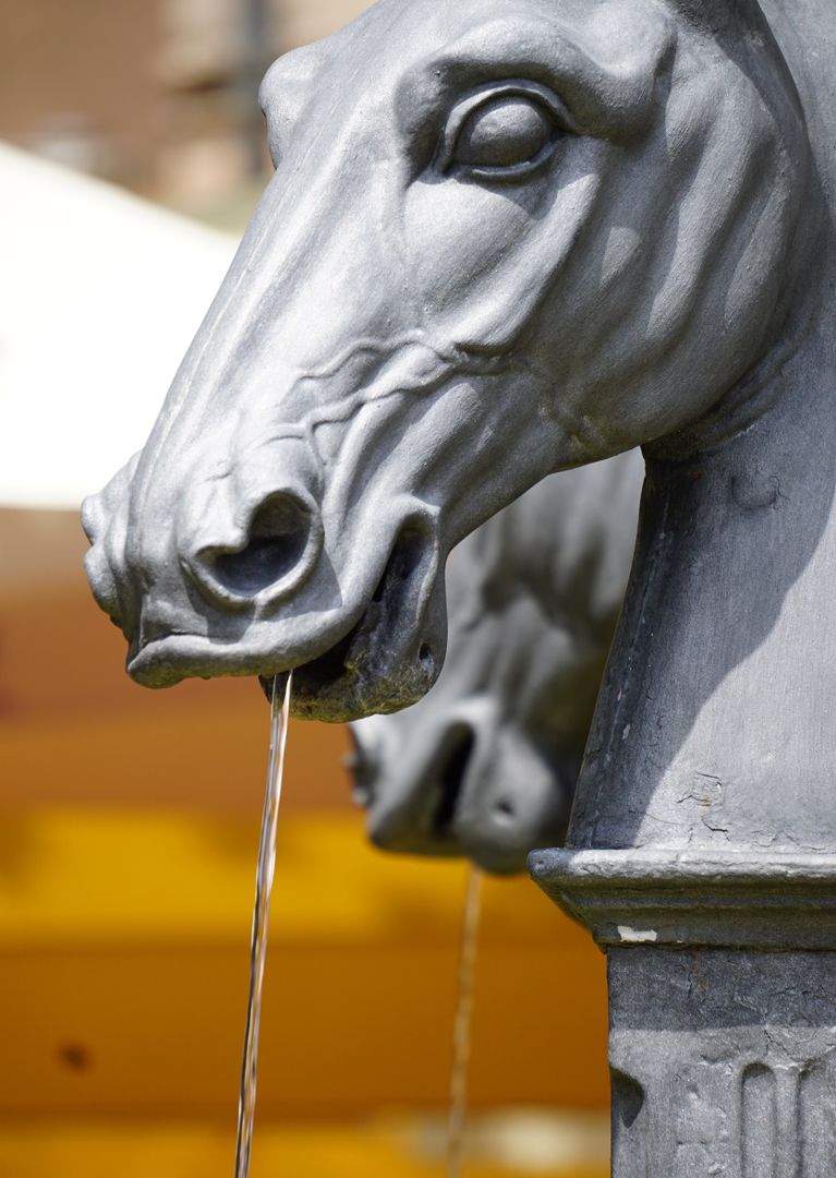 Pferdebrunnen Pferdekopf als Wasserspeier, Detailansicht